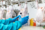 DA lifts poultry import ban from Poland