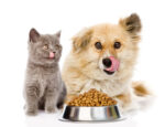 Pandemic a boon to pet food makers with 2023 sales seen pushing past the roof