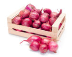Red onion to carry SRP tags starting Wednesday