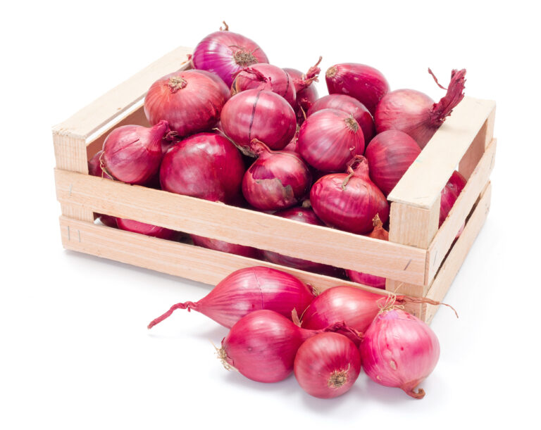 Red onion to carry SRP tags starting Wednesday