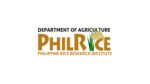Rice experts horrified by Filipinos taking information from social media as scientific fact