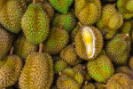 $150 million expected from durian shipments to China
