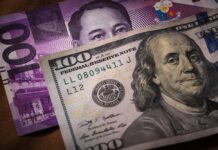 Debt climbs, but structure cushions FX risk