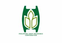 PCIC allots P571M for farmers’ Tino, Uwan insurance claims