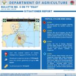 Initial typhoon Egay damage minimal