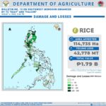Inclement weather damage on agriculture estimated at P4.6B