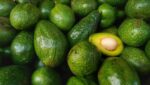Manila finally shipping fresh avocado to Seoul