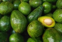 DA looks to replicate banana export gains across more high-value crops