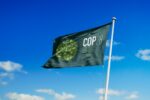 COP28 clashes over fossil fuel phase-out after OPEC pushback