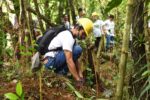 One Meralco Foundation in tree planting partnership