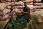 Asia feels the sting of India’s onion export ban
