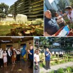 The little urban backyard farm that could: SMC’s small patch of ground feeds its people