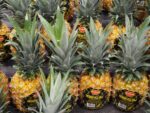 Philippine pineapple sell at premium in China
