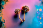 SEC shuts down corporation selling financial, health benefits from mushrooms