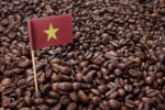 Vietnam domestic coffee prices, Indonesia premium rise on thin supplies
