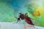 Second malaria vaccine highly protective, trial results show