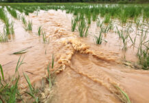 DA rolls out aid after Typhoons Tino, Uwan