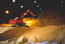 DA greenlights raw sugar export amid falling local prices