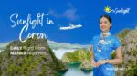 Boutique airline resumes daily flights to Busuanga