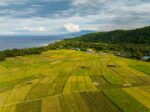 Philippine farm exports surge in September, narrows trade deficit
