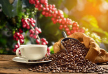 DA sets up coffee office to revive struggling sector