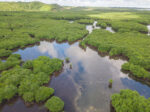 Philippines adds wetlands to Ramsar List, boosting conservation efforts