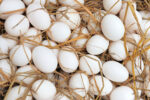 DA unveils egg production program to boost livelihood in 82 provinces