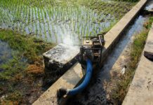 NIA sets public talks on Nueva Ecija water project