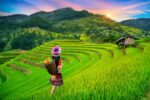 Vietnam rice exports start strong; 2025 outlook dim