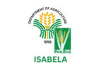 Isabela LGU passes landmark rice quality ordinance