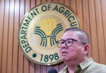 DA seeks stronger hydropower-agriculture link