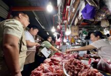 DA set to release new import rules to curb prices