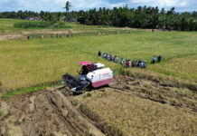 DA orders fresh probe into farm subsidy program amid irregularity claims