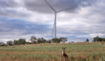 ACEN Australia secures access rights to energy zone