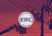 ERC rejects additional commissioners, cites collaboration issues instead