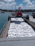 Agri stakeholders back PH rice import ban as Vietnam plans WTO complaint