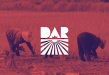 DAR to cancel ₱1.8B in land debt, distribute aid in Negros Island