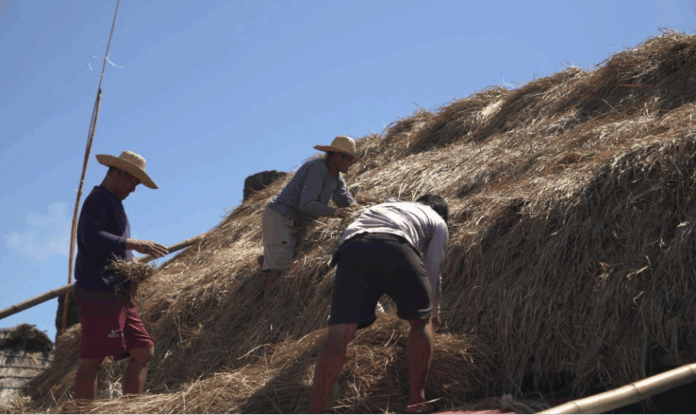 A closer look into the cogon roof restoration of a traditional Ivatan stone house
