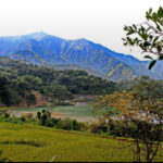 Lepanto Mining profit soars on gold rally