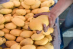 PH launches first commercial mango export to Italy