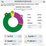 P323-M crop damage from Crising, monsoon spurs policy response