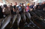 GenSan fish port upgrade signals push for fisheries reform