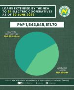 NEA six-month loans to electric co-ops surge to P1.5B