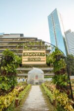 San Miguel expands ‘backyard bukid’ farms nationwide