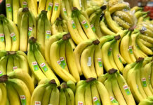 Banana boom lifts PH farm exports as global rank rises
