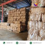 PhilFIDA adopts PCA system to monitor abaca prices