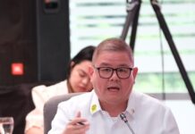 Senate Backs DA’s P184-B spending plan for 2026