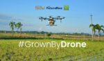 Drones deliver high yields in rice, weed control trials