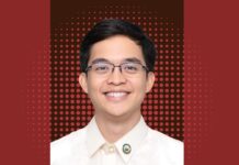 Leviste puts 16% stake in MGen Renewable Energy up for sale to foreign investor