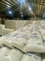 DA optimistic as palay output surges in Q3